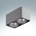 052129-Lightstar Светильник накладной поворотный светодиодный Monocco, 2 лампы, серый