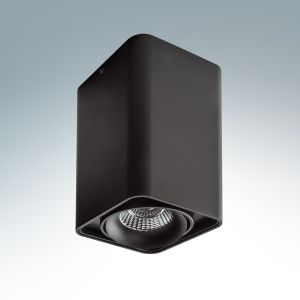052137-Lightstar Светильник накладной поворотный светодиодный Monocco, 1 плафон, черный