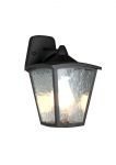 1819-1W-Favourite Уличный настенный светильник Colosso, 1 лампа, черный матовый