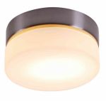 48400-Globo Потолочнный светильник Opal, 1 лампа, матовый никель 
