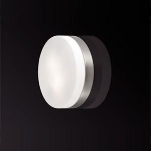 2405/1C Odeon Light Настенно-потолочный светильник для ванной комнаты Presto, 1 лампа, никель, белое матовое стекло
