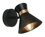 A1406AP-1BK Arte Lamp Спот Baltimore, 1 лампа, черный, золотой
