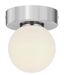 A4445AP-1CC Arte Lamp Светильник потолочный влагозащищенный, 1 плафон, хром, белый
