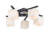 A8165PL-5BK Arte Lamp Люстра потолочная Visuale, 5 плафонов, хром с черным, белый