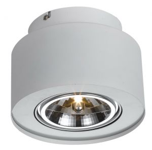 A5643PL-1WH Arte Lamp Накладной точечный светильник Cliff, 1 лампа, белый
