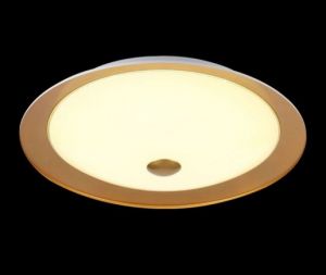 CL815-PT35-G Maytoni Светильник настенно-потолочный светодиодный Euler, 1 плафон, золото с белым