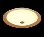 CL815-PT35-G Maytoni Светильник настенно-потолочный светодиодный Euler, 1 плафон, золото с белым