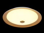 CL815-PT42-G Maytoni Люстра потолочная светодиодная Euler, 1 плафон, золото с белым