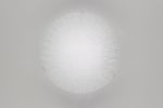 CL917002 Citilux Светильник настенно-потолочный светодиодный Лучи, 1 плафон, белый с прозрачным