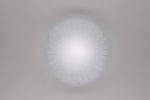 CL918002 Citilux Светильник настенно-потолочный светодиодный Лучи, 1 плафон, белый с прозрачным