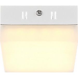 41650 Globo Настенно-потолочный светильник Merula, серебристый, белый