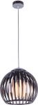 LSP-0160 Lussole Светильник подвесной, 1 лампа, прозрачный, черный