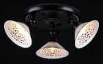 ECO002-33-R Maytoni Спот Spot, 3 лампы, коричневый, белый
