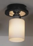LSF-6107-01 LUSSOLE Светильник потолочный из серии Caprile, хром, венге, 1 плафон