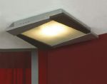 LSQ-8002-02 LUSSOLE Настенно-потолочный светильник из серии Cefone, 2 лампы, серебристый, белый
