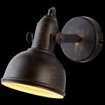 A5213AP-1BR Arte Lamp Спот Martin, 1 плафон, коричневый