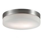 2405/1C Odeon Light Настенно-потолочный светильник для ванной комнаты Presto, 1 лампа, никель, белое матовое стекло