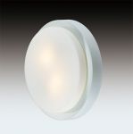 2745/2C Odeon Light Потолочный светильник влагозащищенный Holger, 2 лампы, венге, белый матовый
