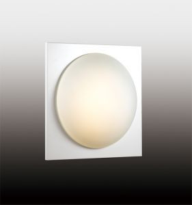 2762/1C Odeon Light Потолочный светильник влагозащищенный Brido, 1 лампа, белый матовый